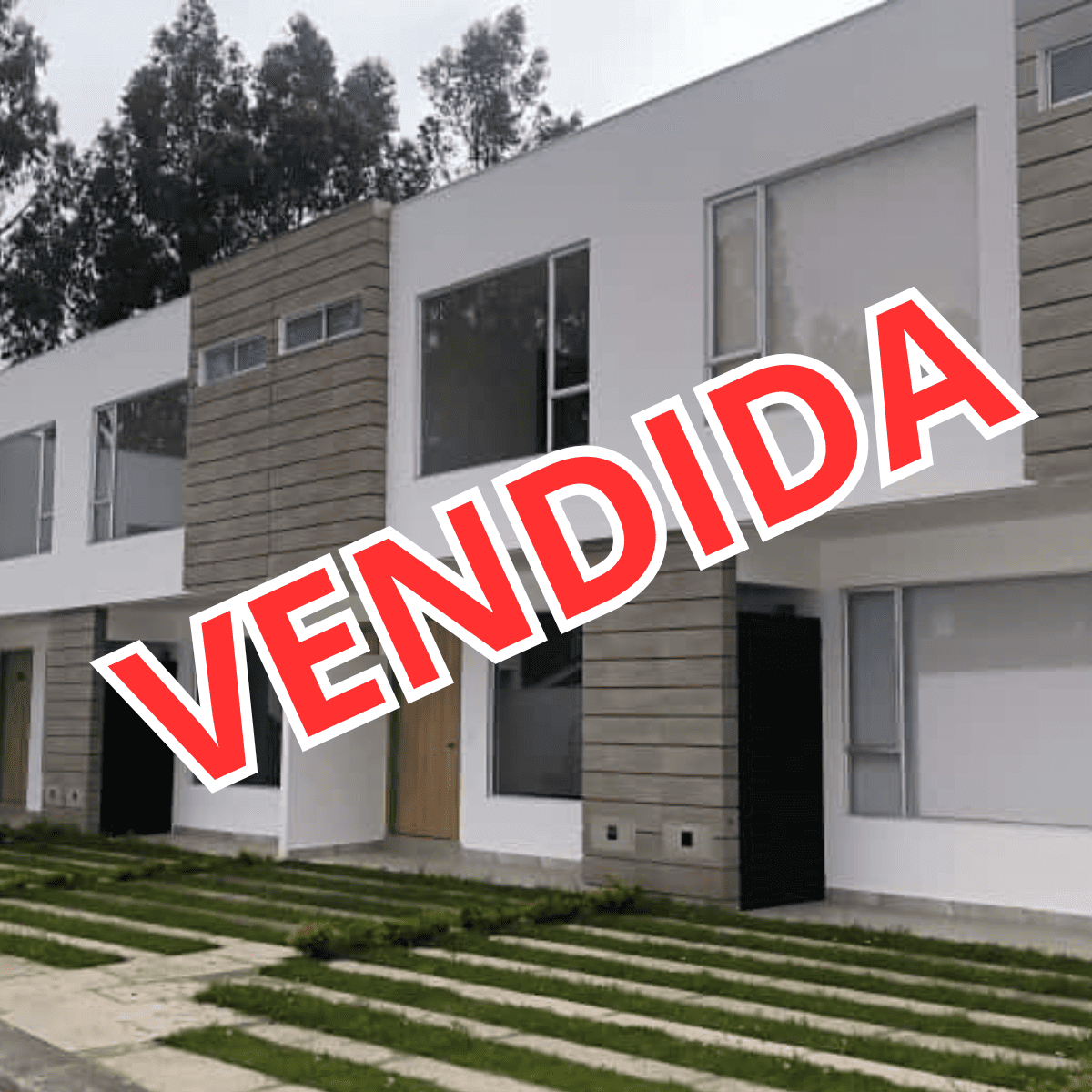 VENDIDA (7)